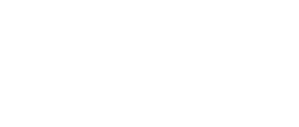 Logo VDG in footer